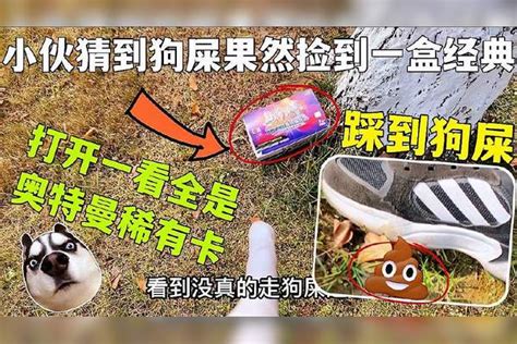 踩到狗粪怎么办|踩到狗屎后，如何清理鞋底纹理内的狗屎？